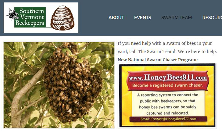 Southern Vermont Website Pic