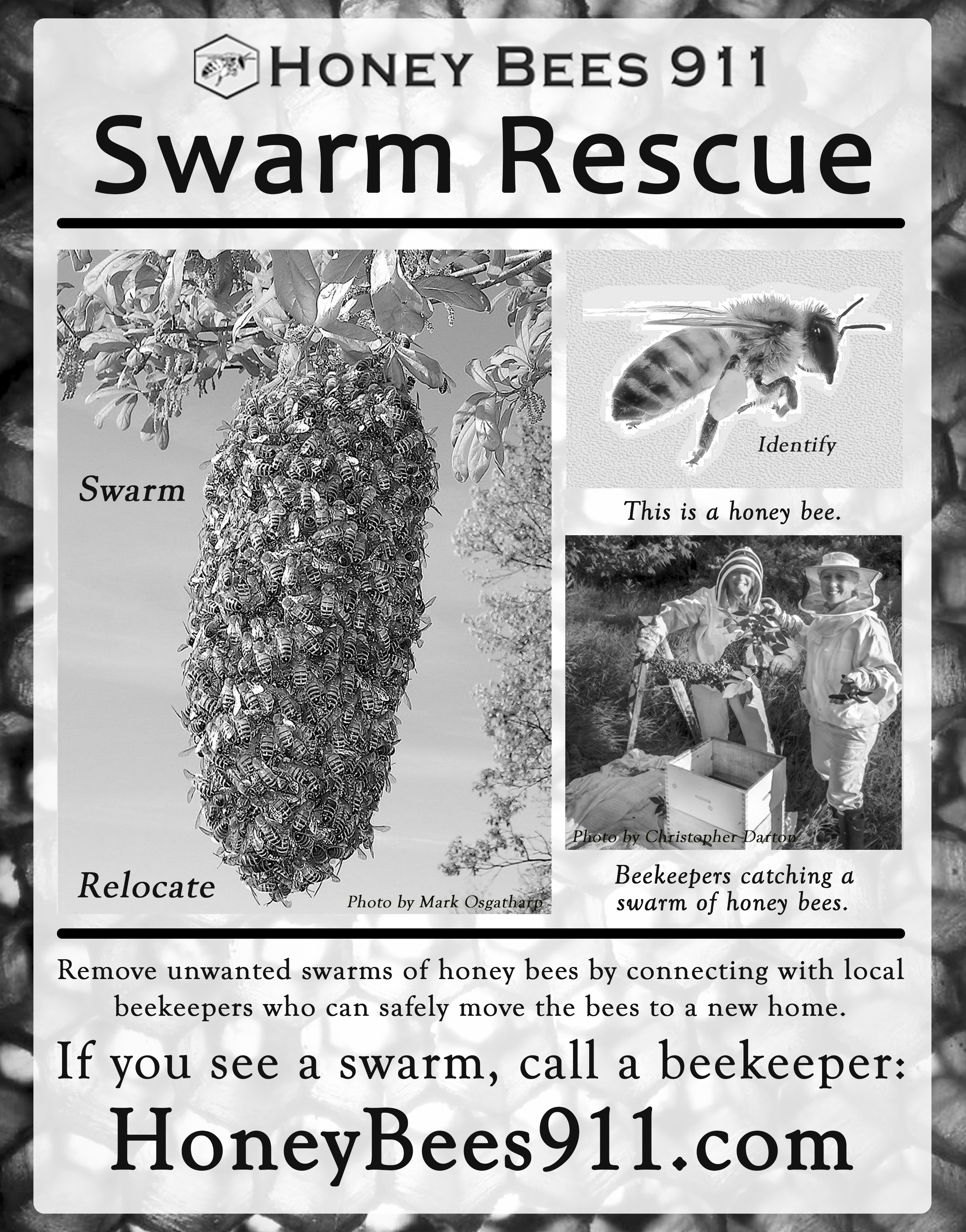 HB911 Advertisement Flyer